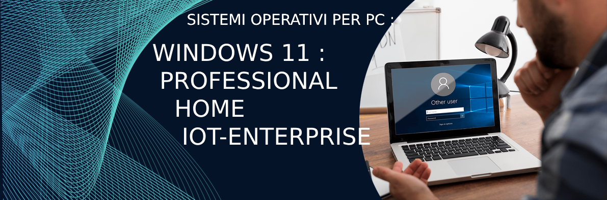 Windows 11 Professional, Home , IoT Enterprise